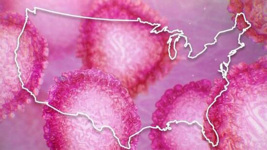 Existencias mixtas después de informes de aumento de casos de coronavirus Existencias mixtas después de informes de aumento de casos de coronavirus
